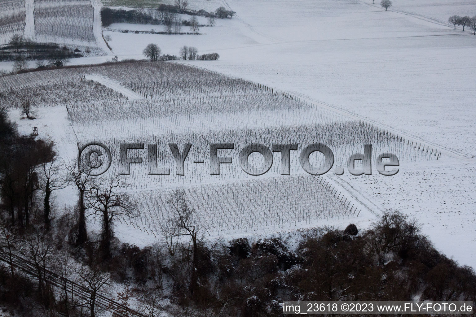 Vue aérienne de Ailier d'hiver à Freckenfeld dans le département Rhénanie-Palatinat, Allemagne