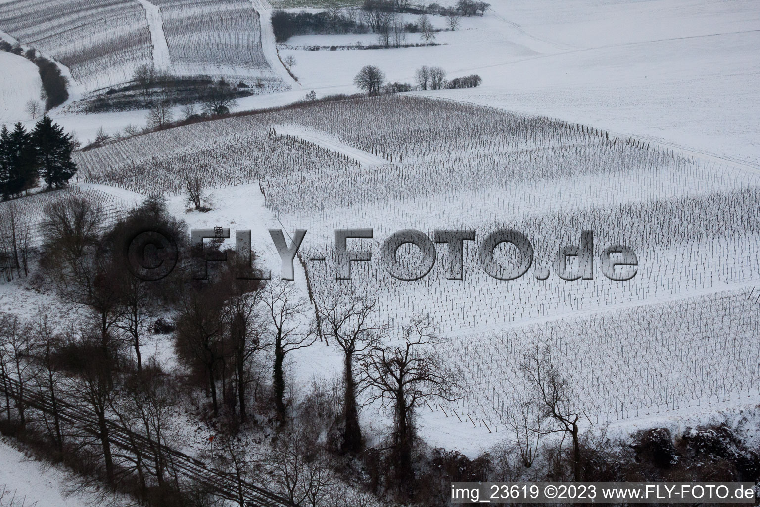 Photographie aérienne de Ailier d'hiver à Freckenfeld dans le département Rhénanie-Palatinat, Allemagne