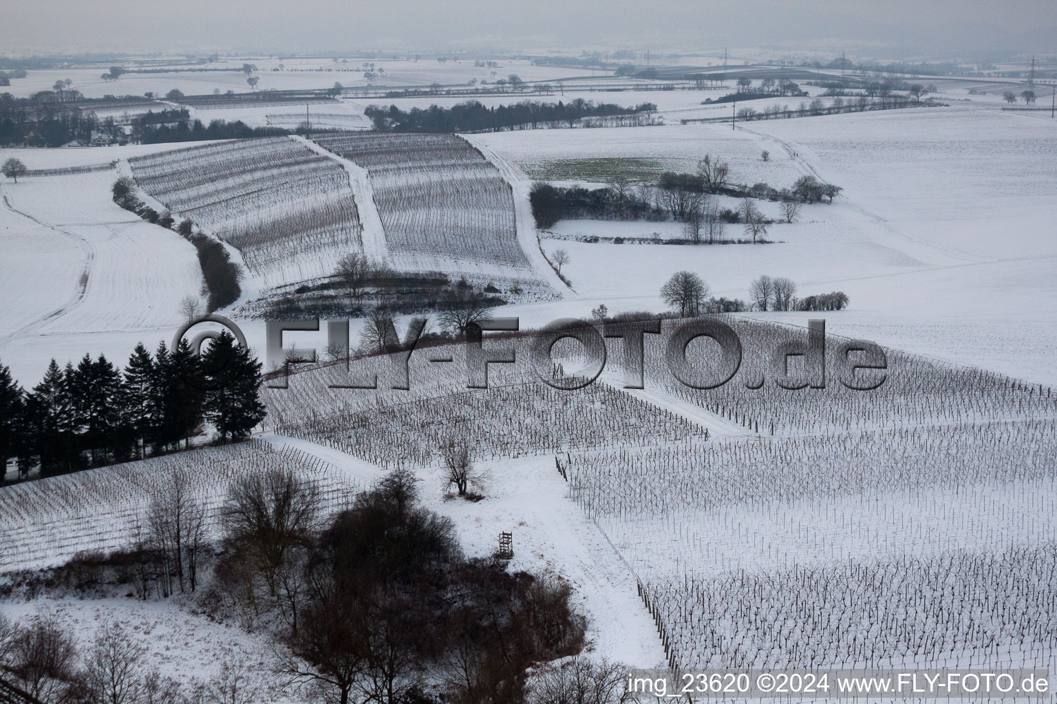 Vue oblique de Ailier d'hiver à Freckenfeld dans le département Rhénanie-Palatinat, Allemagne