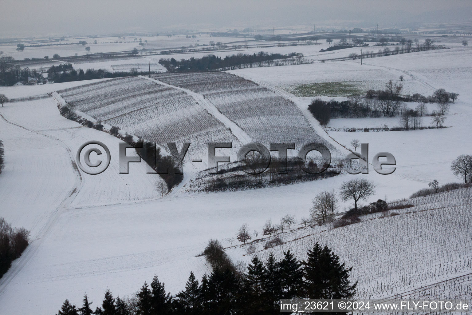 Ailier d'hiver à Freckenfeld dans le département Rhénanie-Palatinat, Allemagne d'en haut