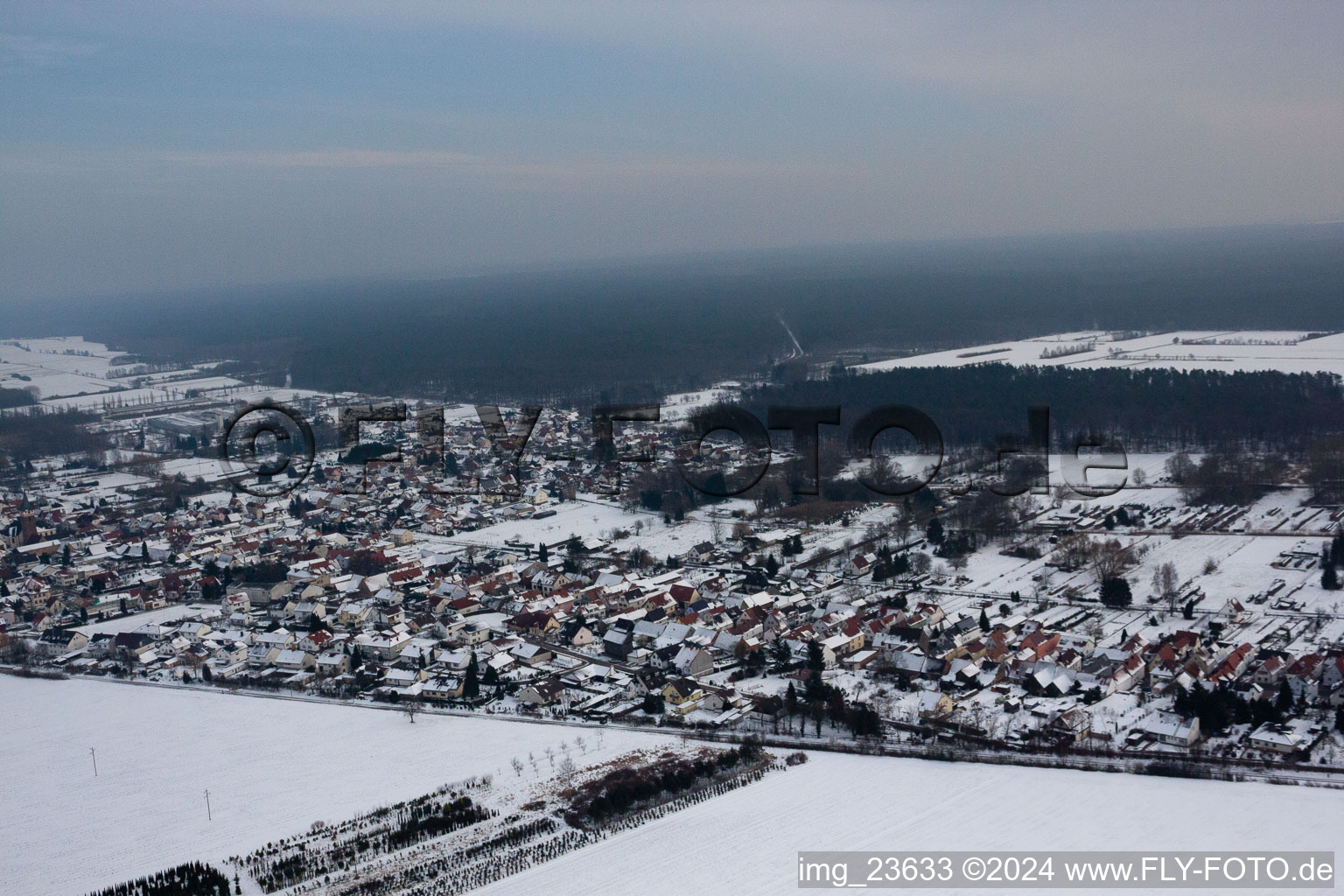 Quartier Schaidt in Wörth am Rhein dans le département Rhénanie-Palatinat, Allemagne depuis l'avion