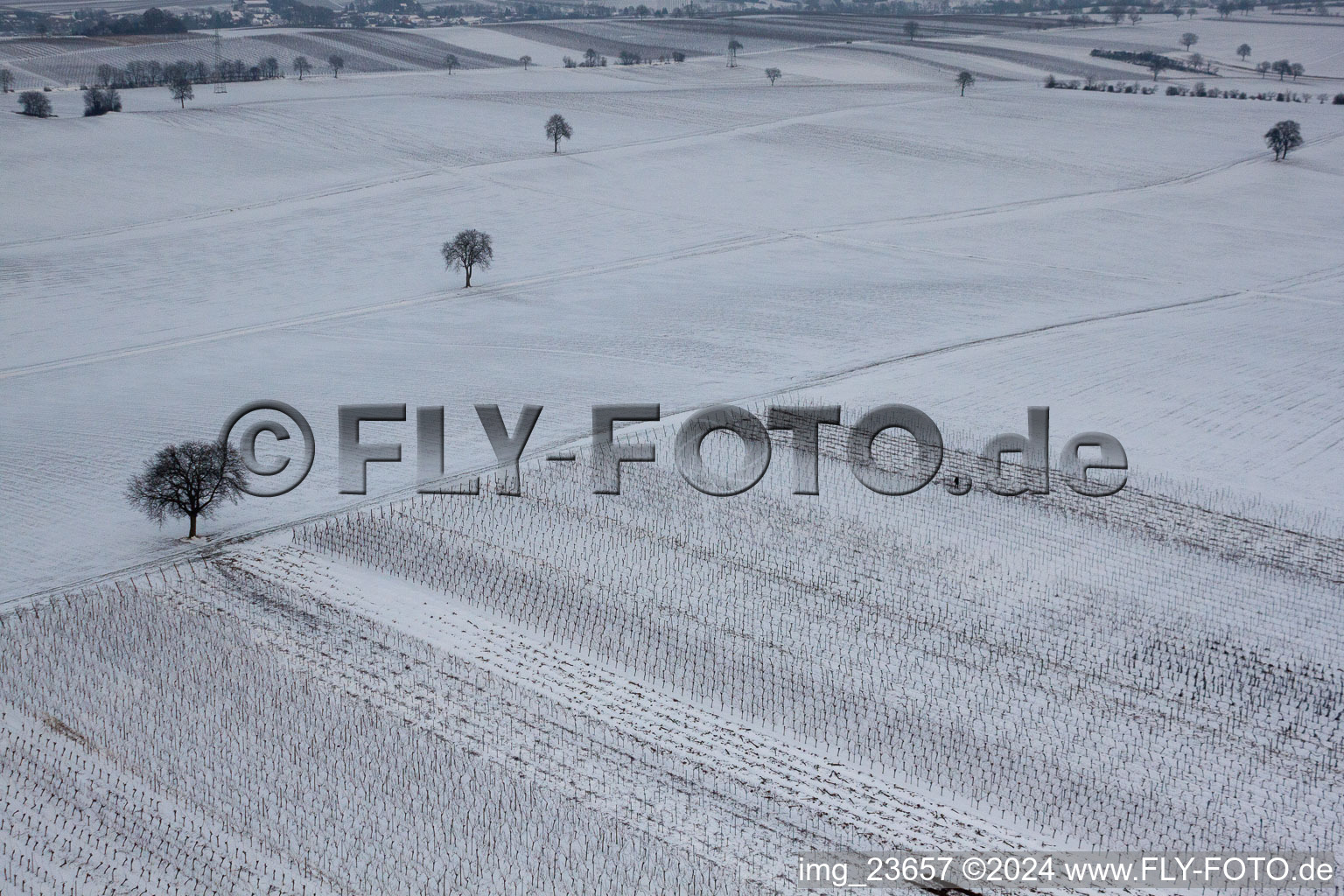 Vue aérienne de Winterwingert à le quartier Kleinsteinfeld in Niederotterbach dans le département Rhénanie-Palatinat, Allemagne