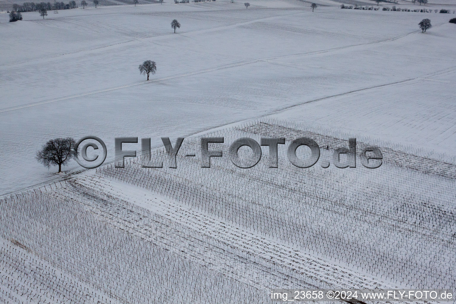 Vue aérienne de Winterwingert à le quartier Kleinsteinfeld in Niederotterbach dans le département Rhénanie-Palatinat, Allemagne