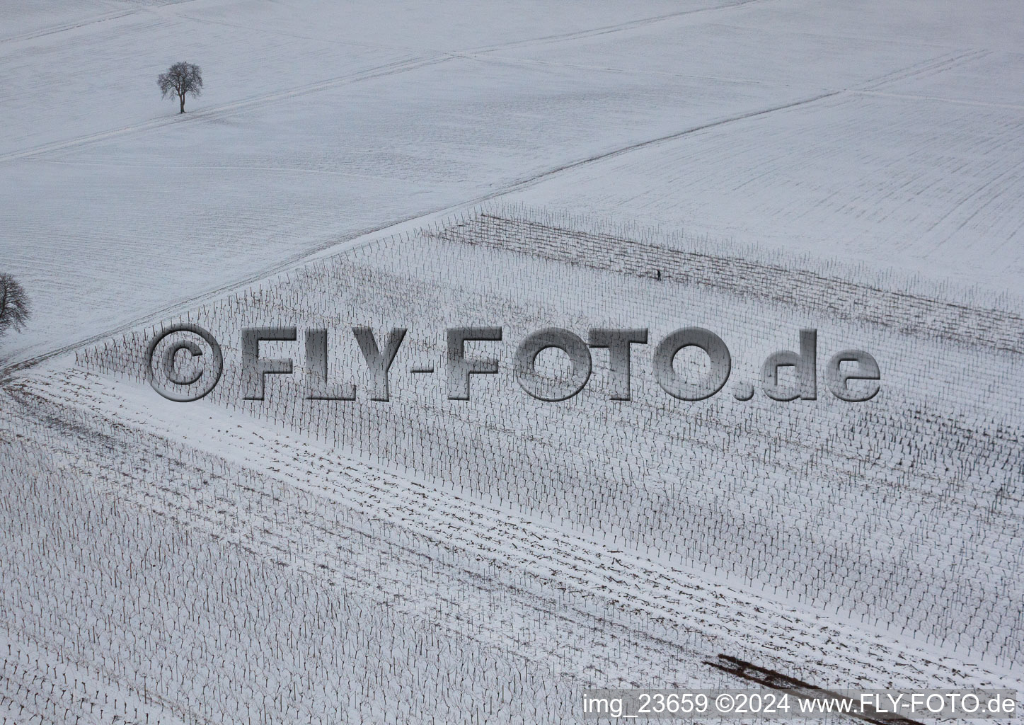 Photographie aérienne de Winterwingert à le quartier Kleinsteinfeld in Niederotterbach dans le département Rhénanie-Palatinat, Allemagne