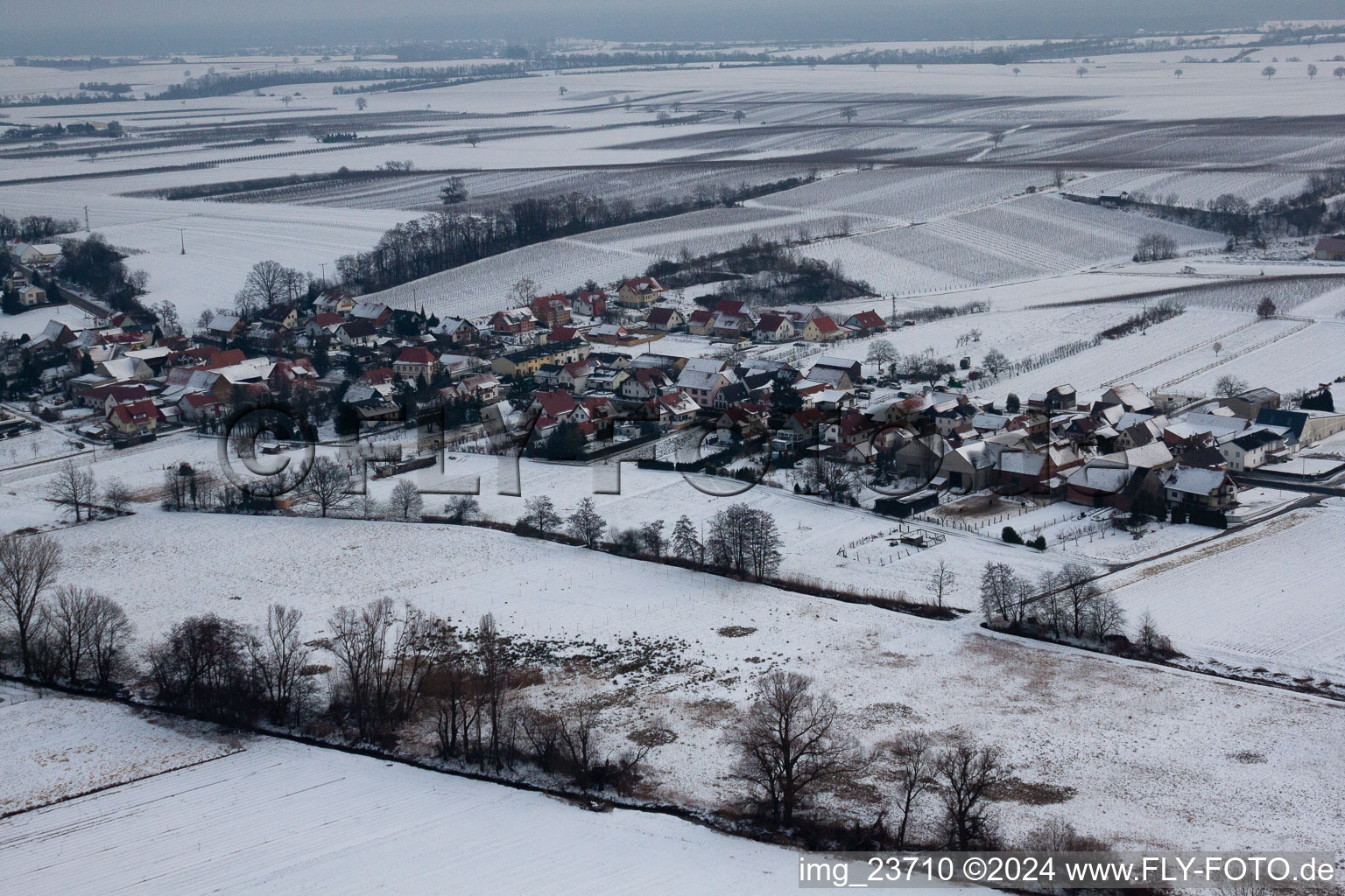 Vue aérienne de Hergersweiler dans le département Rhénanie-Palatinat, Allemagne