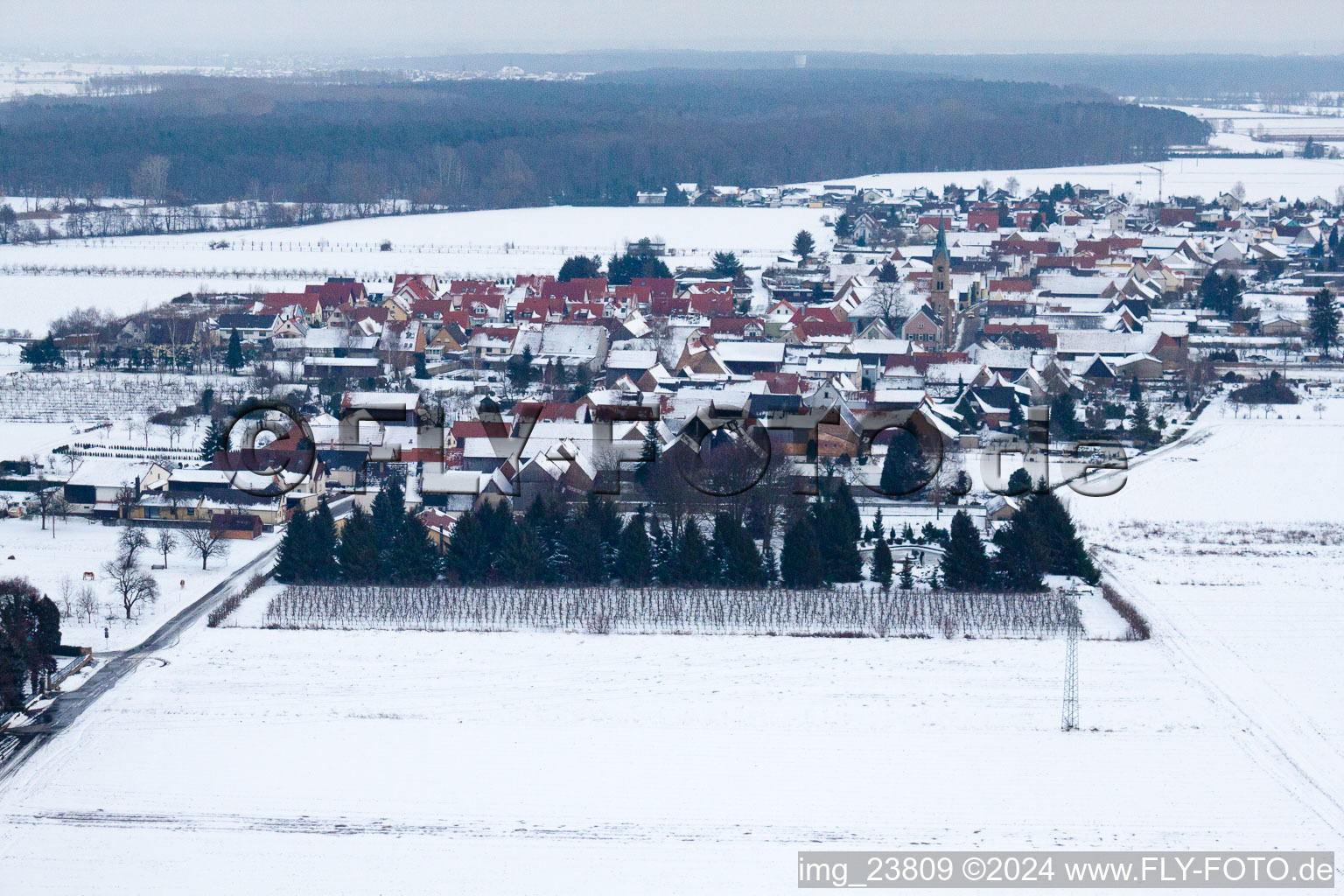 Vue aérienne de En hiver avec de la neige de l'ouest à Erlenbach bei Kandel dans le département Rhénanie-Palatinat, Allemagne