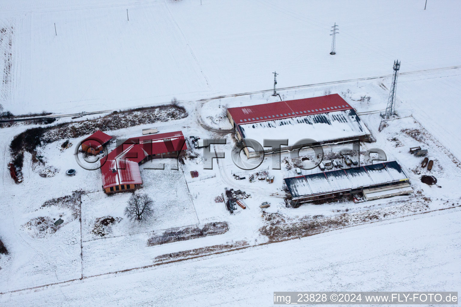 Photographie aérienne de Ferme d'œufs de ferme de poulets en hiver avec de la neige à Erlenbach bei Kandel dans le département Rhénanie-Palatinat, Allemagne