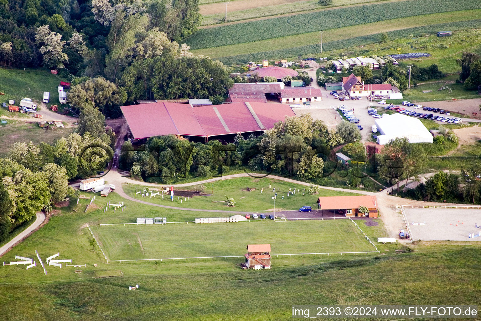 Vue aérienne de Ferme équestre à Neewiller-près-Lauterbourg dans le département Bas Rhin, France