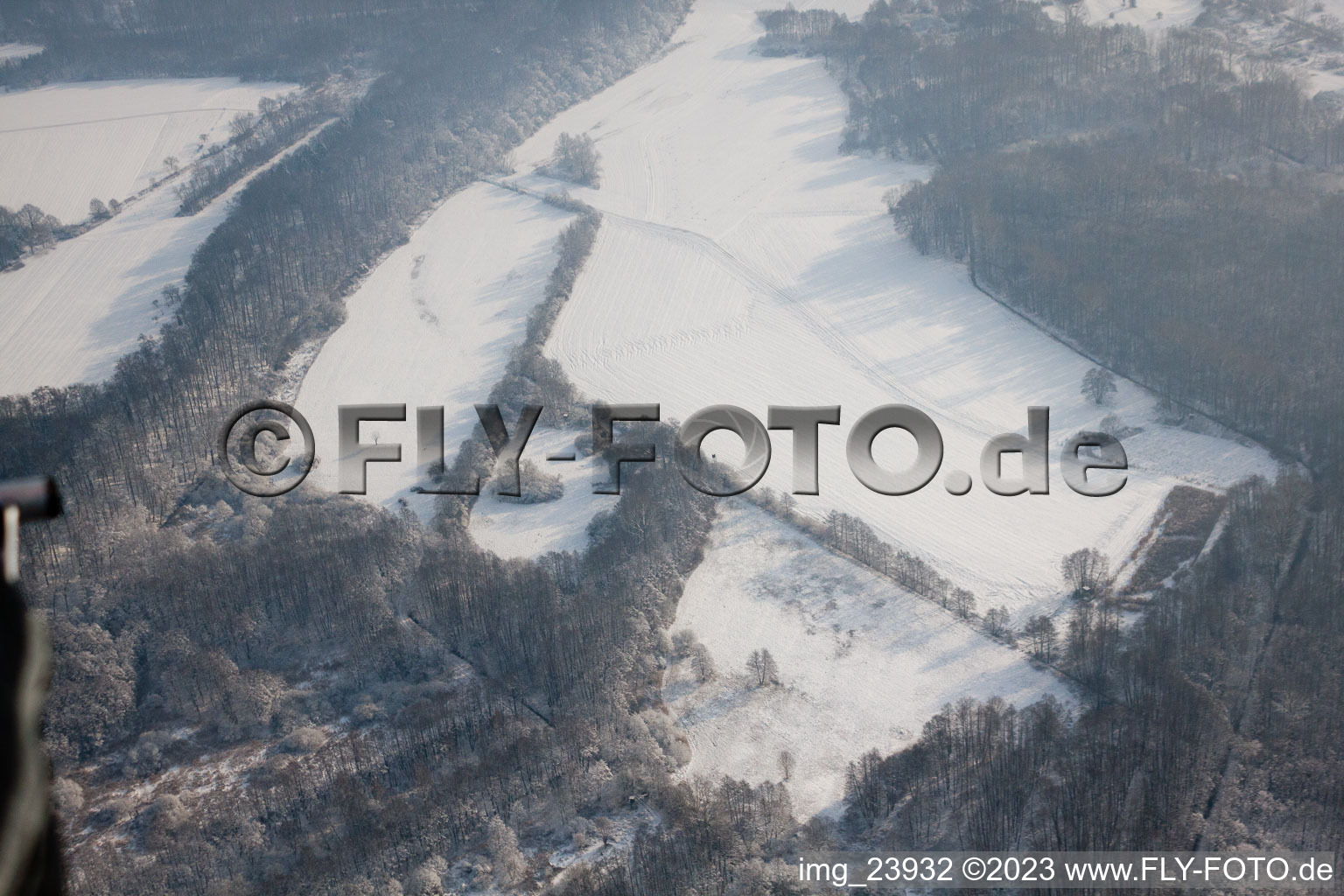 Vue aérienne de Forêt d'hiver sur l'Otterbach à Jockgrim dans le département Rhénanie-Palatinat, Allemagne