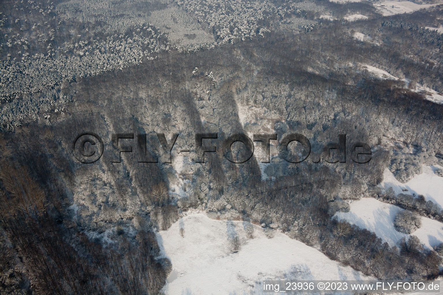 Vue aérienne de Forêt d'hiver sur l'Otterbach à Jockgrim dans le département Rhénanie-Palatinat, Allemagne