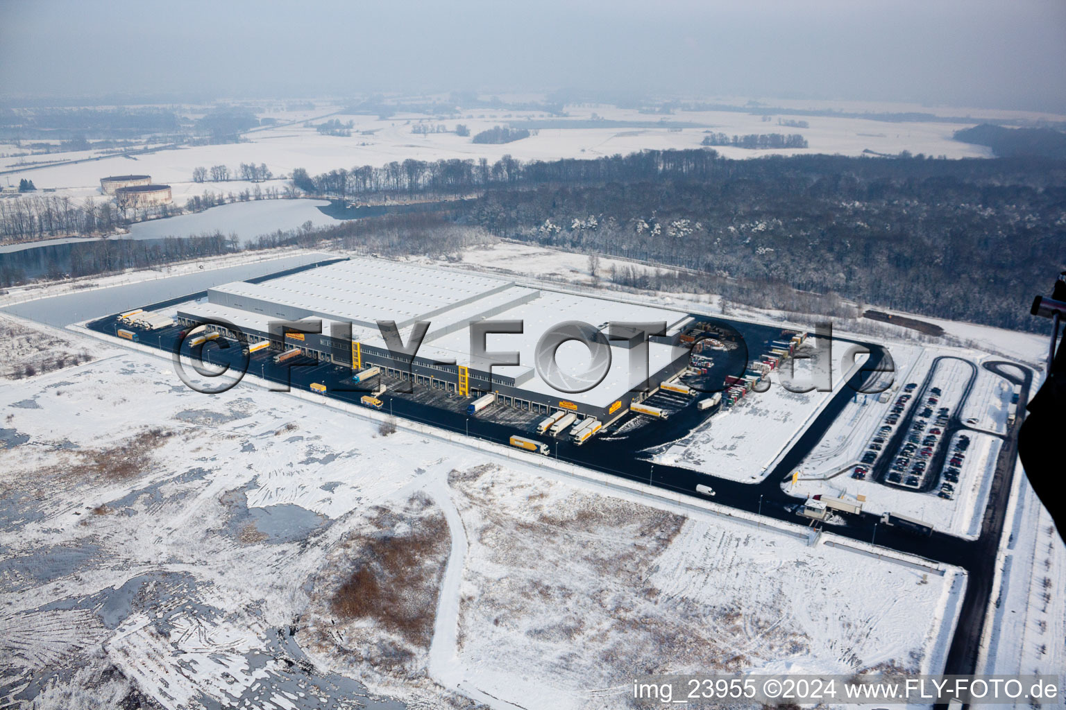 Vue aérienne de Zone industrielle d'Oberwald, centre logistique de Netto à Wörth am Rhein dans le département Rhénanie-Palatinat, Allemagne