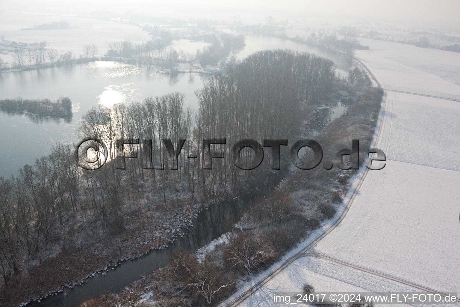 Photographie aérienne de Vieux Rhin en hiver à Neupotz dans le département Rhénanie-Palatinat, Allemagne