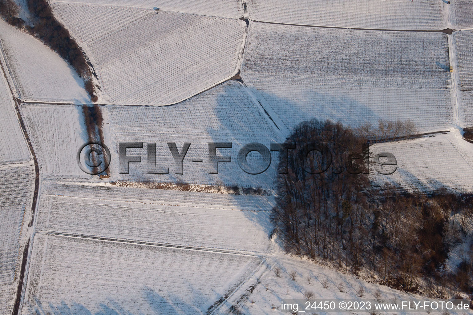 Photographie aérienne de En hiver à le quartier Klingen in Heuchelheim-Klingen dans le département Rhénanie-Palatinat, Allemagne