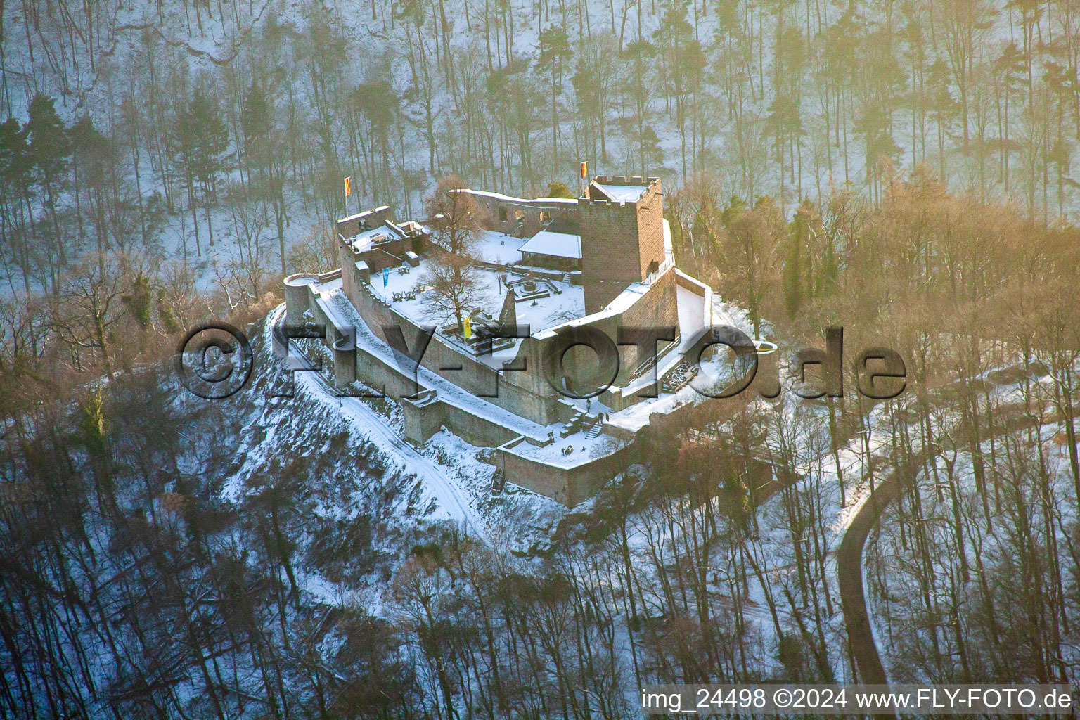 Vue aérienne de Ruines de Landeck à Klingenmünster dans le département Rhénanie-Palatinat, Allemagne