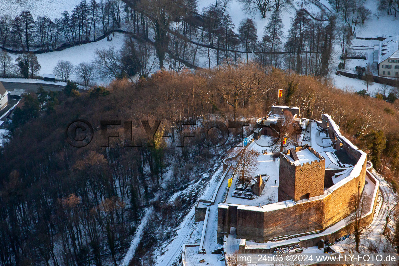 Ruines de Landeck à Klingenmünster dans le département Rhénanie-Palatinat, Allemagne hors des airs