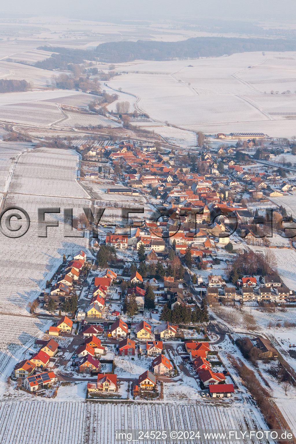 Vue aérienne de Champs agricoles et terres agricoles enneigés en hiver à Niederhorbach dans le département Rhénanie-Palatinat, Allemagne