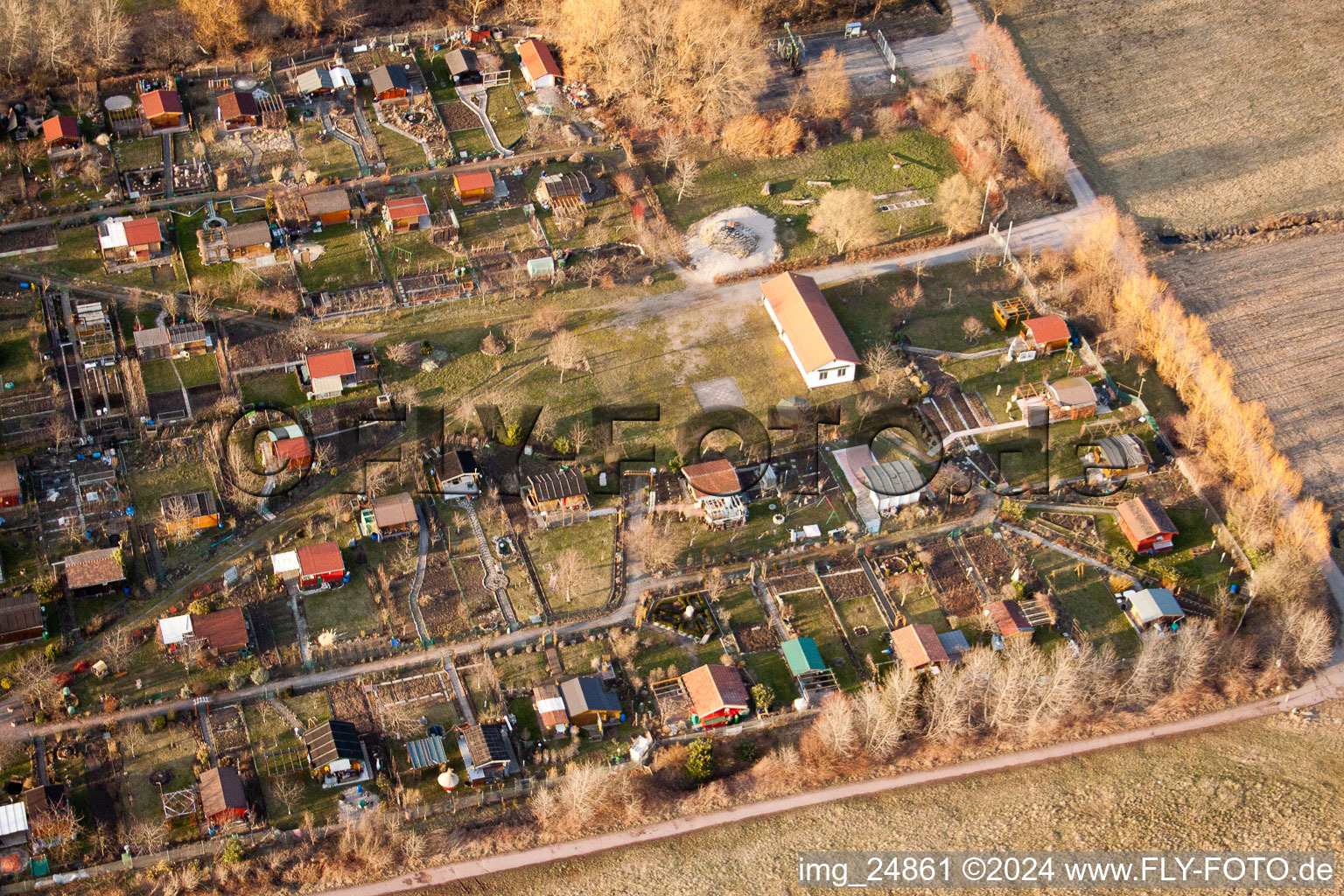 Vue aérienne de Espace jardin familial à le quartier Dammheim in Landau in der Pfalz dans le département Rhénanie-Palatinat, Allemagne