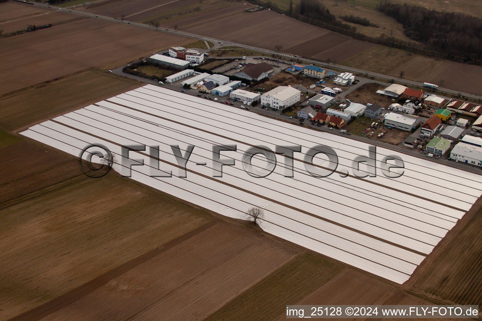 Vue aérienne de Snacks d'asperges sous papier d'aluminium à Ketsch dans le département Bade-Wurtemberg, Allemagne