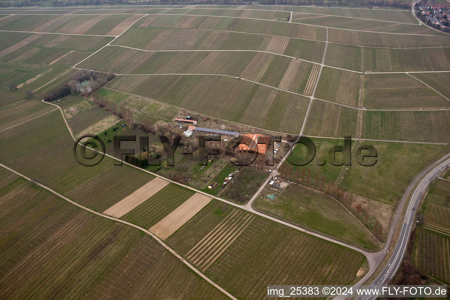 À l'Ahlmühle à Ilbesheim bei Landau in der Pfalz dans le département Rhénanie-Palatinat, Allemagne d'en haut