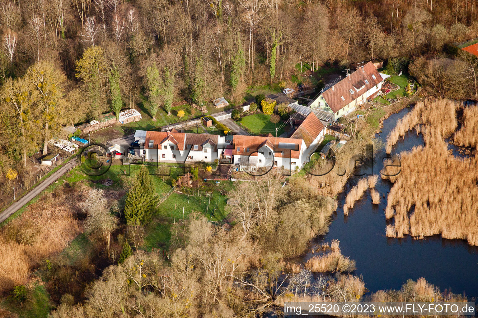 Photographie aérienne de Biotopes sur le chemin forestier à le quartier Neuburgweier in Rheinstetten dans le département Bade-Wurtemberg, Allemagne