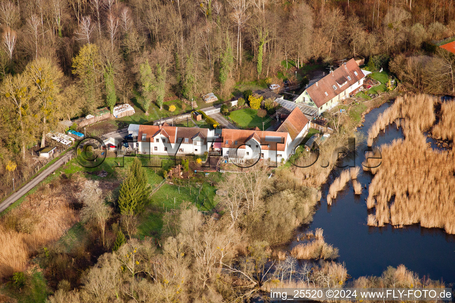 Photographie aérienne de Biotopes sur le chemin forestier à le quartier Neuburgweier in Rheinstetten dans le département Bade-Wurtemberg, Allemagne