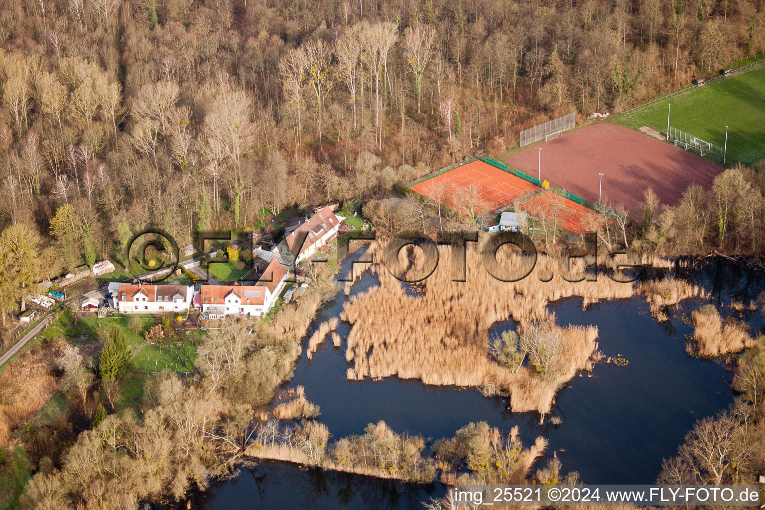 Vue oblique de Biotopes sur le chemin forestier à le quartier Neuburgweier in Rheinstetten dans le département Bade-Wurtemberg, Allemagne