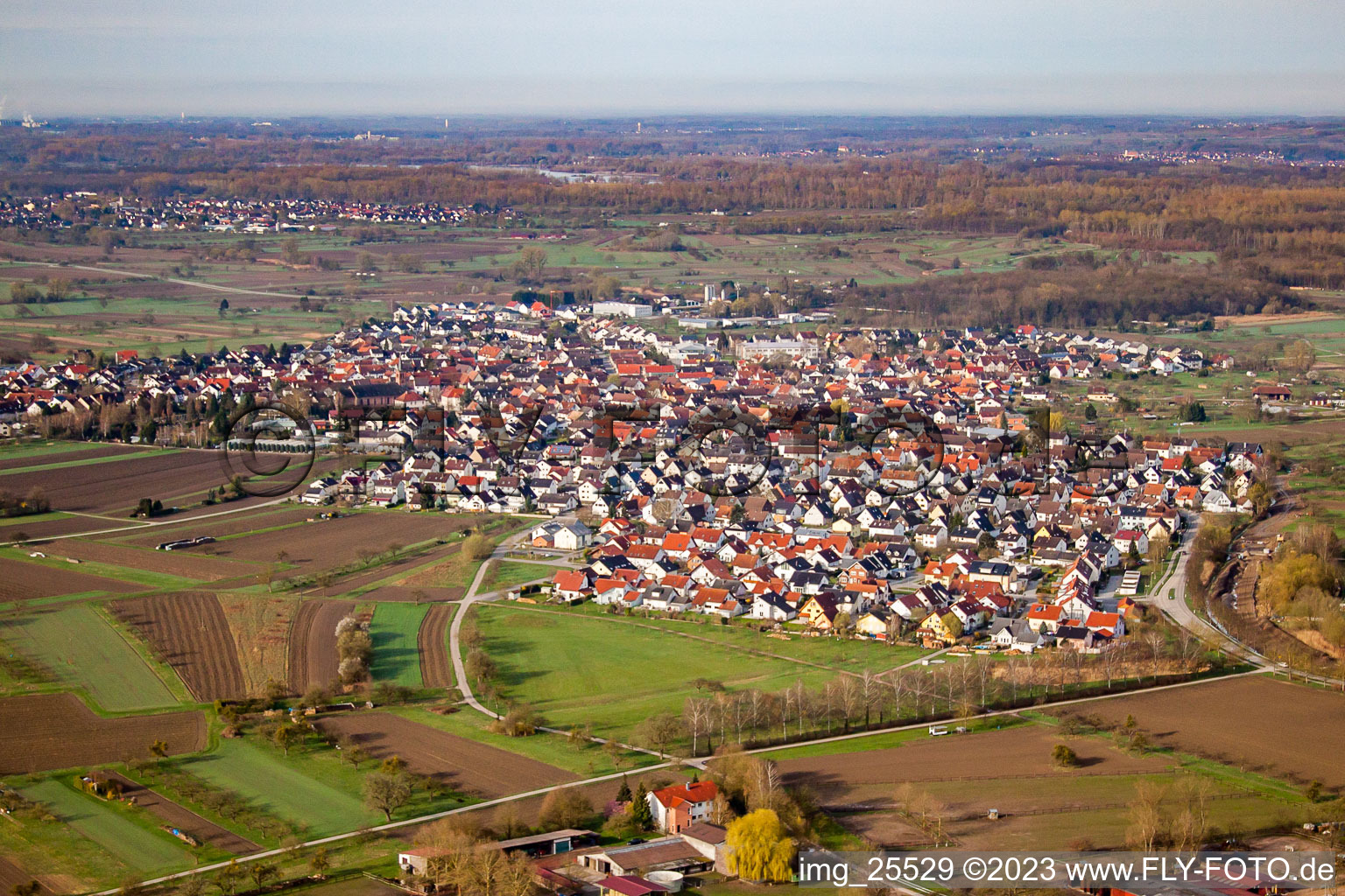 Vue aérienne de Du nord-est à Au am Rhein dans le département Bade-Wurtemberg, Allemagne