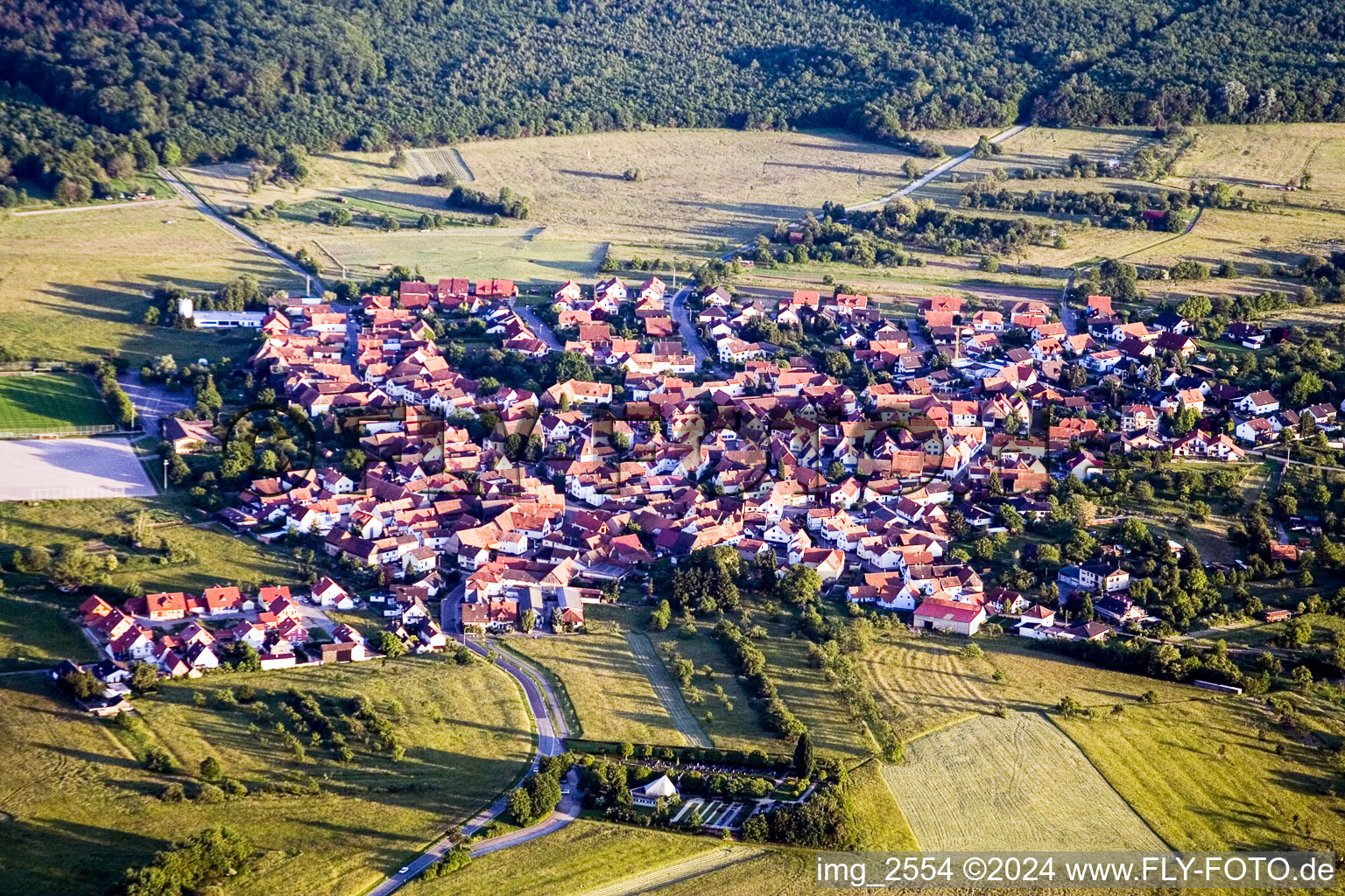 Vue aérienne de Champs agricoles et surfaces utilisables à le quartier Büchelberg in Wörth am Rhein dans le département Rhénanie-Palatinat, Allemagne