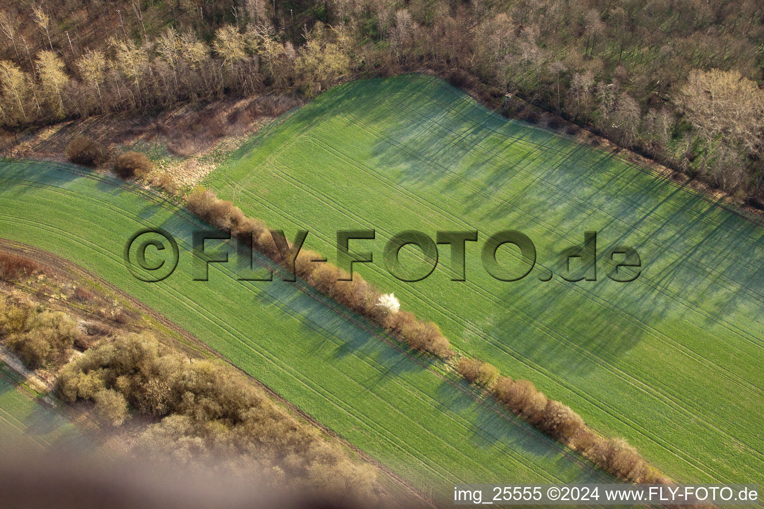 Elchesheim dans le département Bade-Wurtemberg, Allemagne vue du ciel