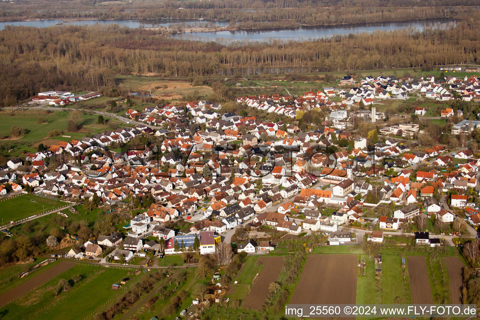 Vue d'oiseau de Quartier Illingen in Elchesheim-Illingen dans le département Bade-Wurtemberg, Allemagne