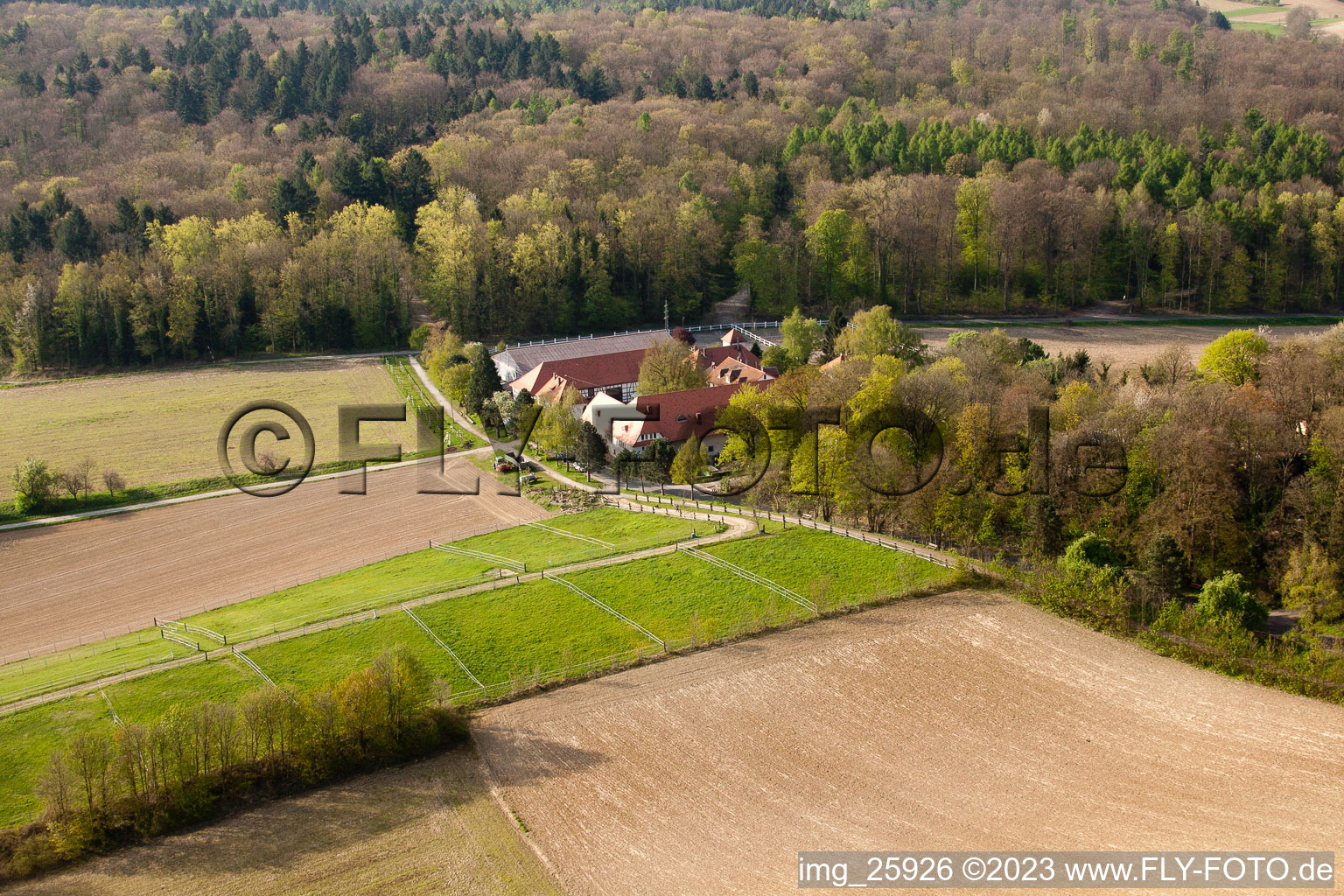 Photographie aérienne de Rittnerthof à le quartier Durlach in Karlsruhe dans le département Bade-Wurtemberg, Allemagne