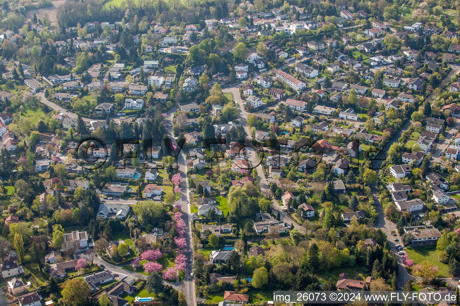 Vue aérienne de Quartier de Turmberg avec cerisiers ornementaux en fleurs à le quartier Durlach in Karlsruhe dans le département Bade-Wurtemberg, Allemagne