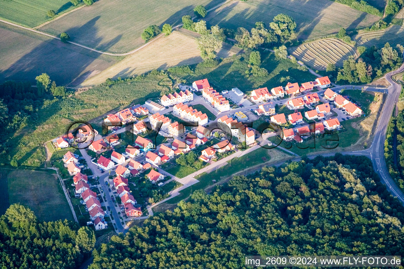 Vue aérienne de Nouvelle zone de développement à Wörth am Rhein dans le département Rhénanie-Palatinat, Allemagne