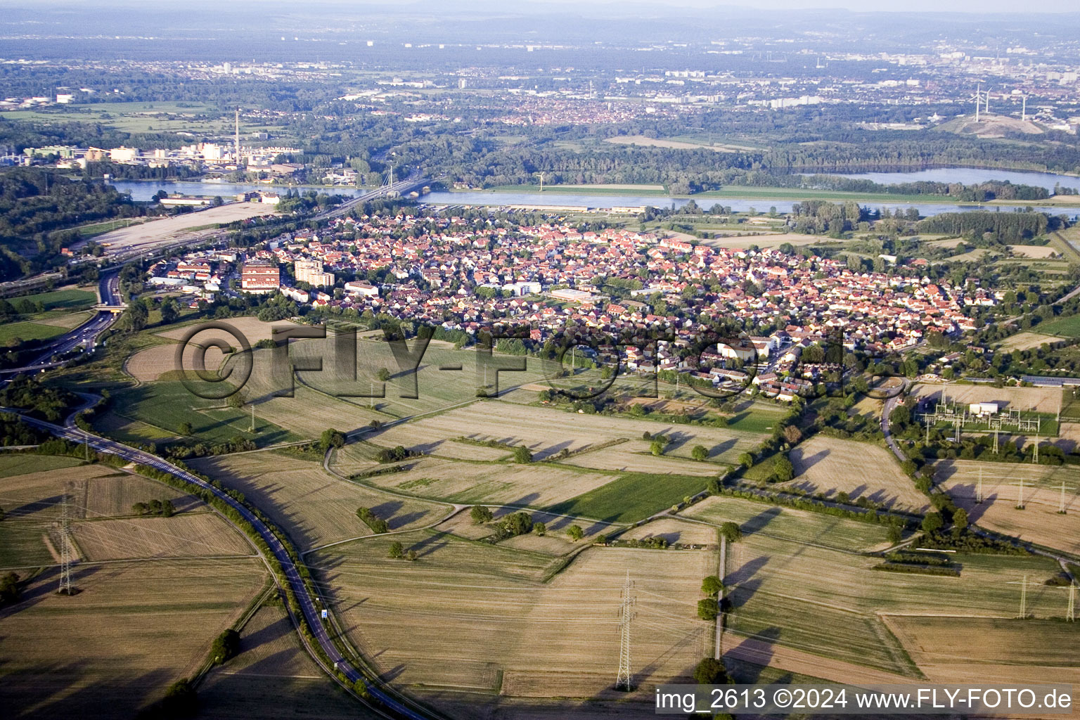 Vue aérienne de De l'ouest à le quartier Maximiliansau in Wörth am Rhein dans le département Rhénanie-Palatinat, Allemagne