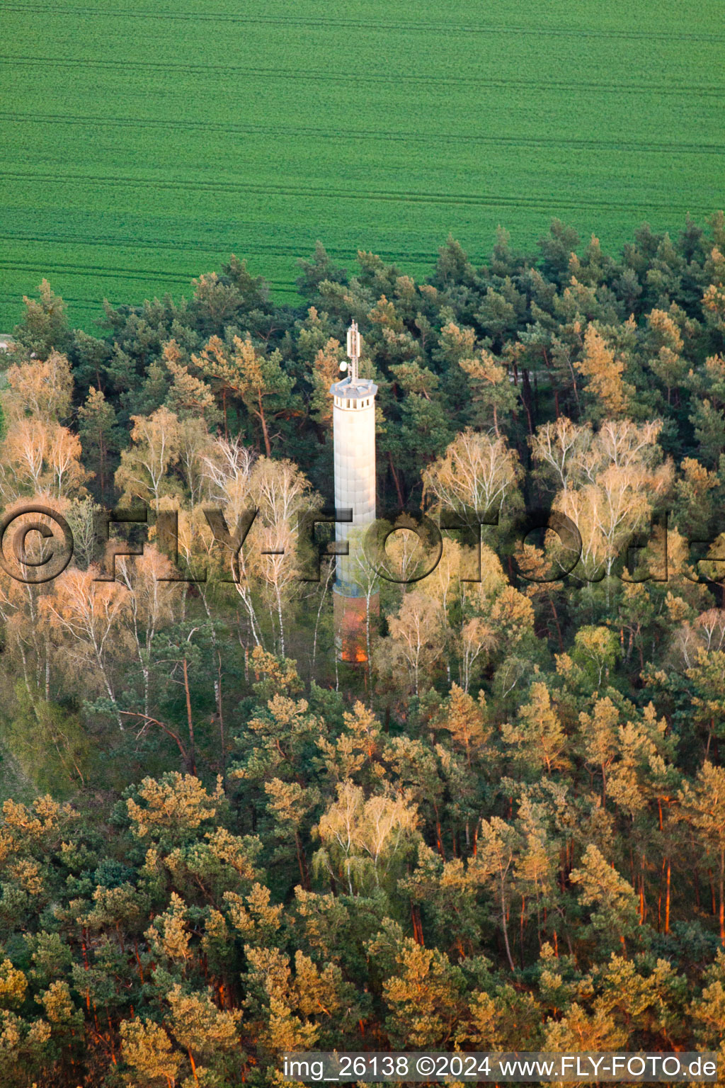 Vue aérienne de Tour radio et système de transmission dans la forêt à Jüterbog dans le département Brandebourg, Allemagne