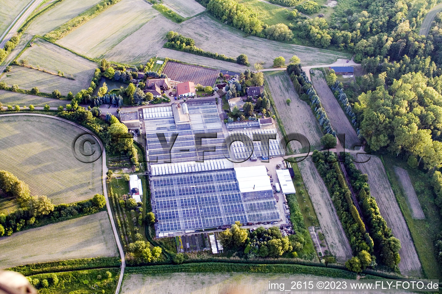 Vue aérienne de Jardinage de géraniums à Hagenbach dans le département Rhénanie-Palatinat, Allemagne
