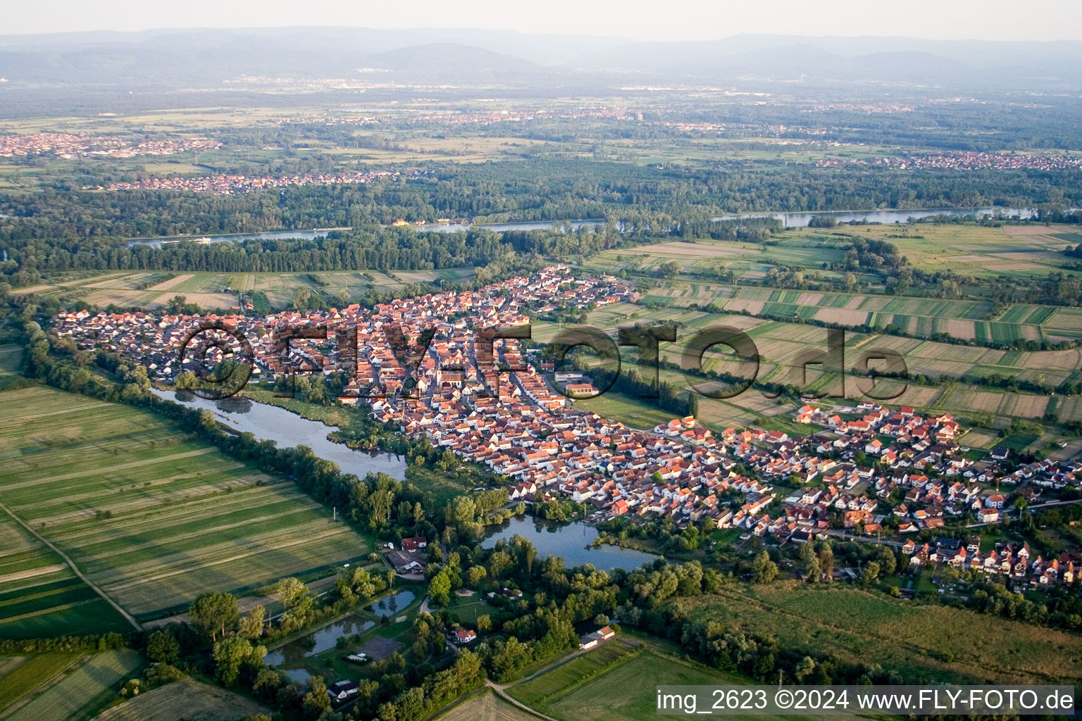 Vue oblique de Quartier Neuburg in Neuburg am Rhein dans le département Rhénanie-Palatinat, Allemagne