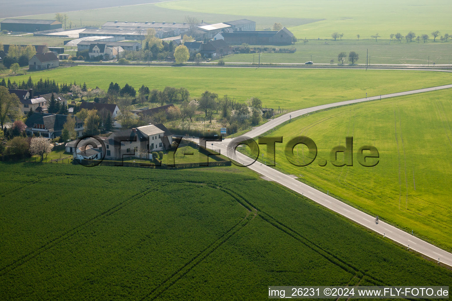 Vue aérienne de Reinsdorf dans le département Brandebourg, Allemagne