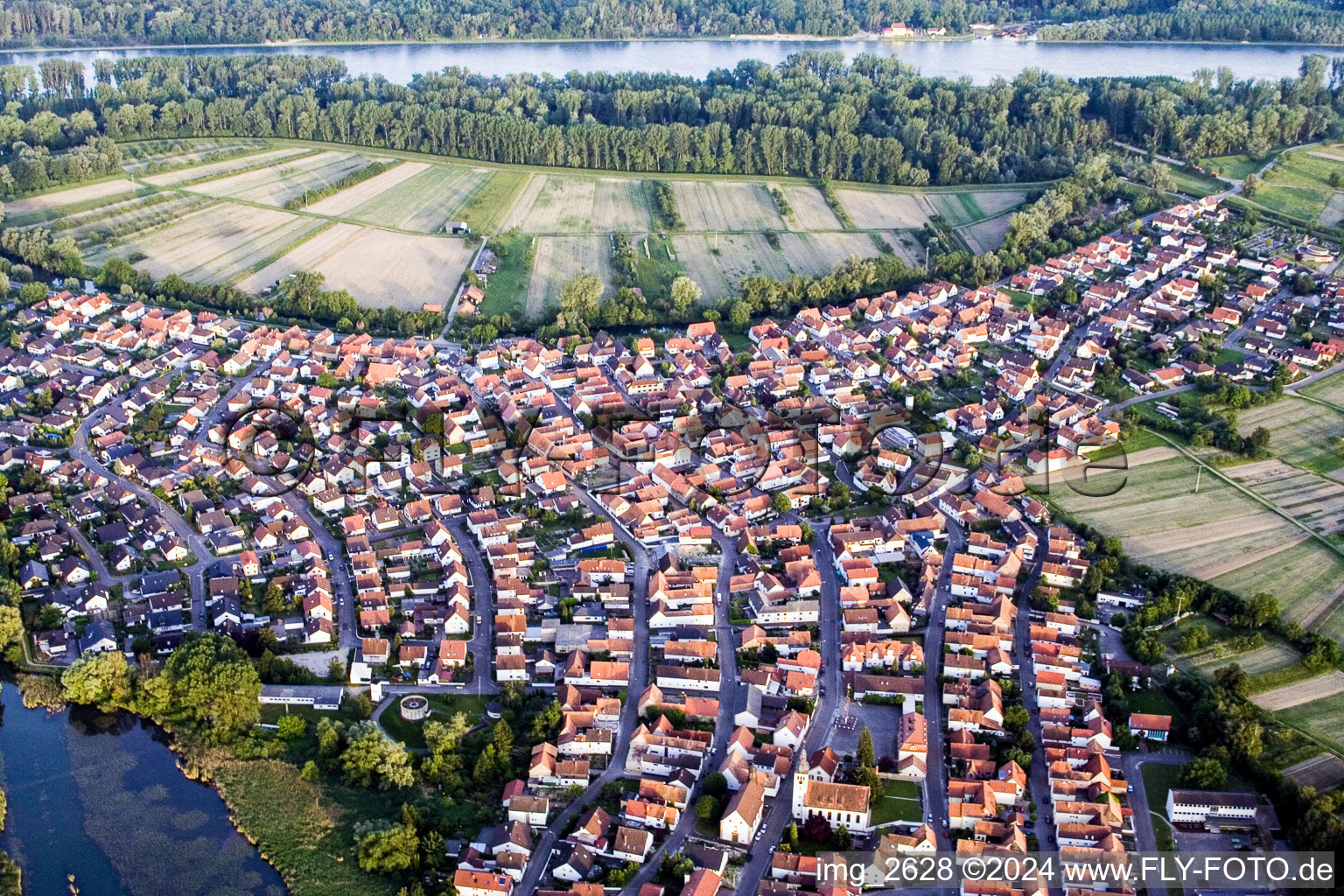 Vue aérienne de Zones riveraines du Rhin sur le Rhin à Neuburg dans le département Rhénanie-Palatinat, Allemagne