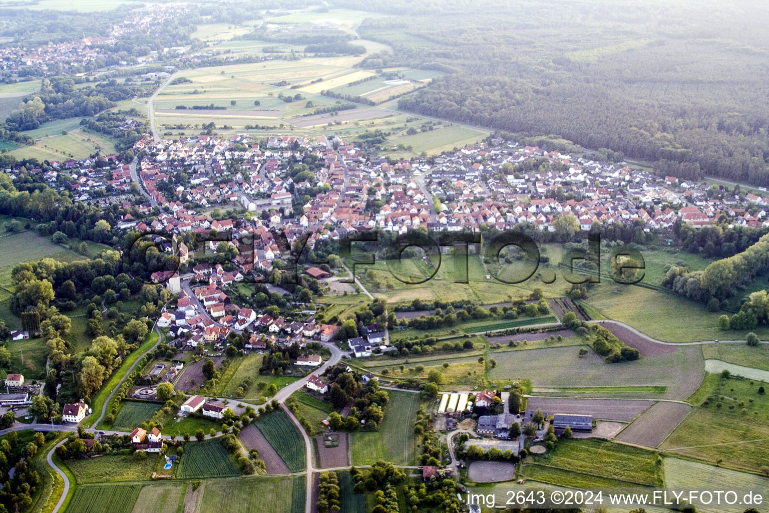 Vue du village (Palatinat) à Berg dans le département Rhénanie-Palatinat, Allemagne vue d'en haut