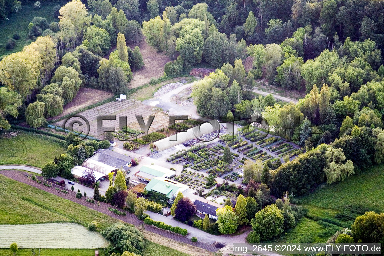 Vue aérienne de Marché aux plantes Pépinière de Bienwald (Palatinat) à Berg dans le département Rhénanie-Palatinat, Allemagne