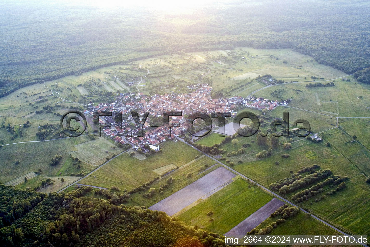 Vue aérienne de Du sud-est à le quartier Büchelberg in Wörth am Rhein dans le département Rhénanie-Palatinat, Allemagne