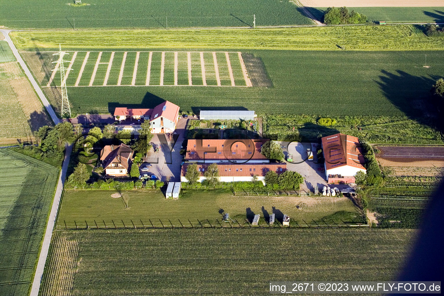 Schössberghof à Minfeld dans le département Rhénanie-Palatinat, Allemagne vue du ciel