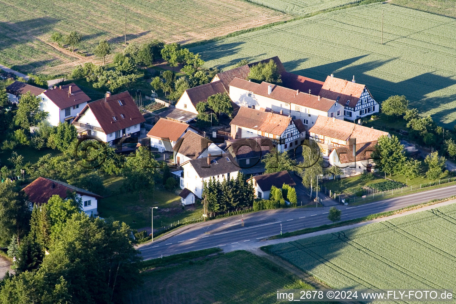 Vue oblique de Champs agricoles et surfaces utilisables à Minfeld dans le département Rhénanie-Palatinat, Allemagne