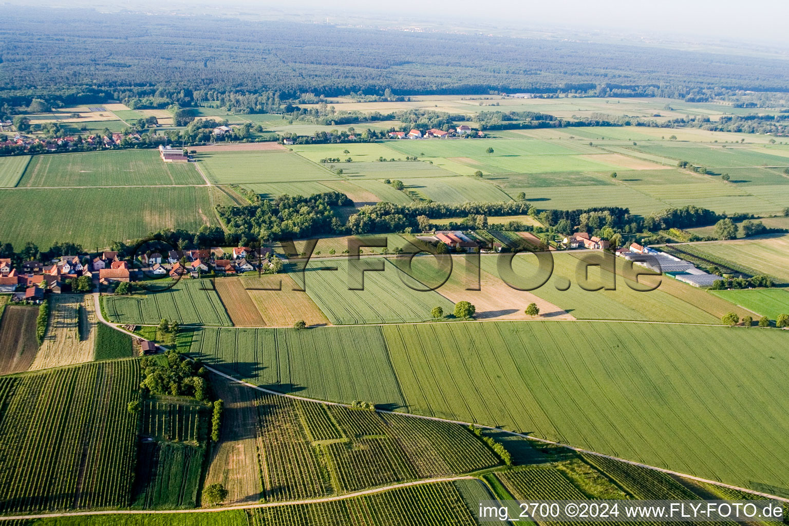 Vollmersweiler dans le département Rhénanie-Palatinat, Allemagne du point de vue du drone