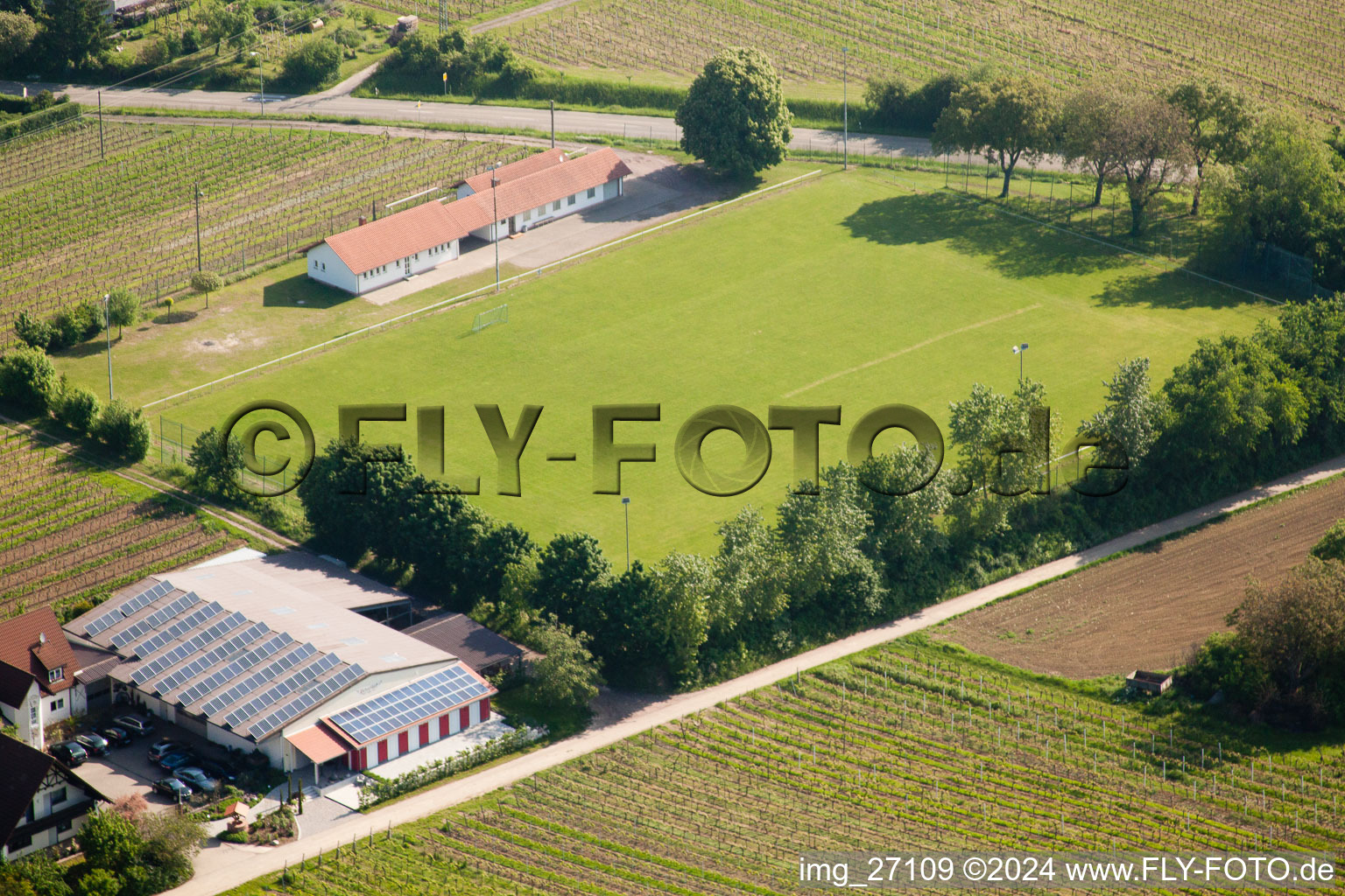 Photographie aérienne de Terrain de sport à Impflingen dans le département Rhénanie-Palatinat, Allemagne