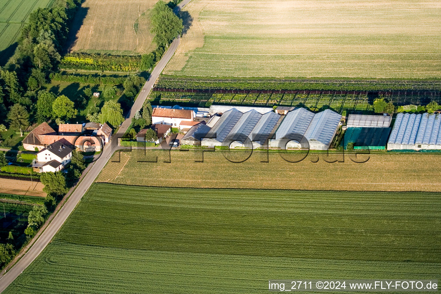 Vue aérienne de Moulin de l'enfer à Vollmersweiler dans le département Rhénanie-Palatinat, Allemagne