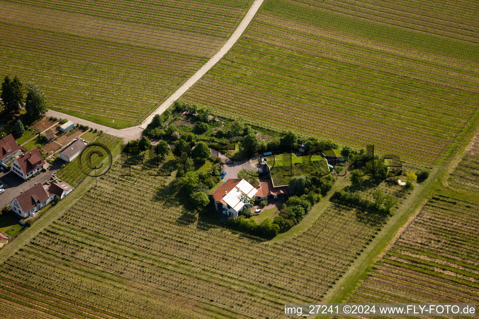 Vue aérienne de Domaine Bioland Marzolph à le quartier Wollmesheim in Landau in der Pfalz dans le département Rhénanie-Palatinat, Allemagne