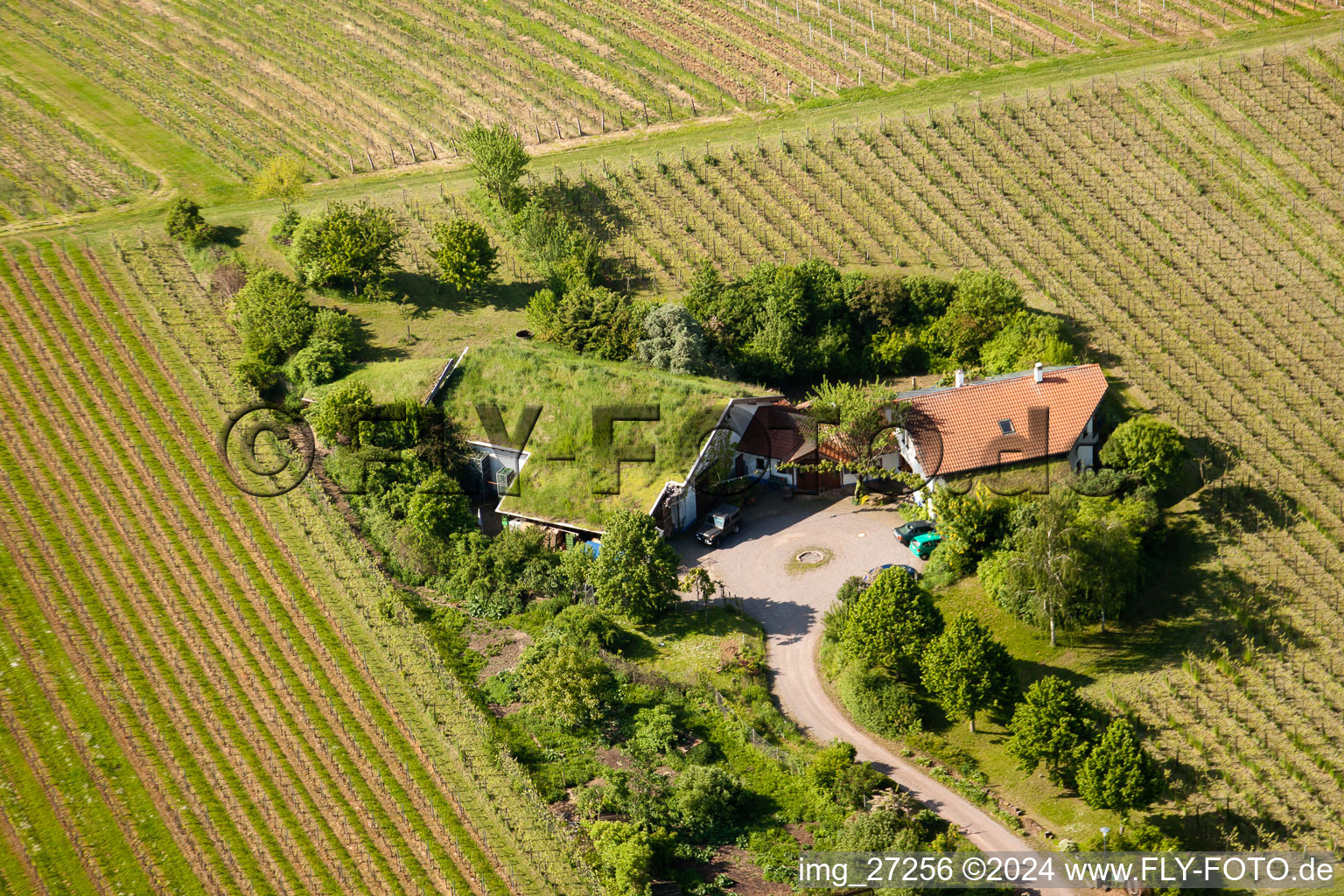 Vue aérienne de BiolandViticulture Unterm Grassdach Domaine Marzolph à le quartier Wollmesheim in Landau in der Pfalz dans le département Rhénanie-Palatinat, Allemagne