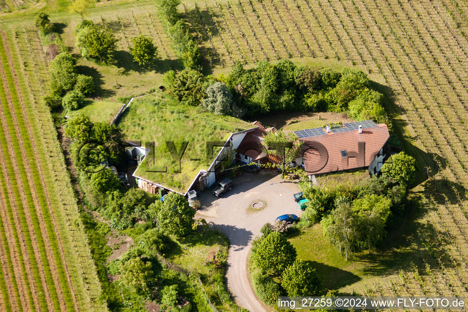 Vue oblique de BiolandViticulture Unterm Grassdach Domaine Marzolph à le quartier Wollmesheim in Landau in der Pfalz dans le département Rhénanie-Palatinat, Allemagne